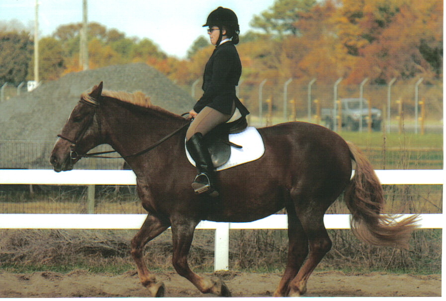 Molly riding