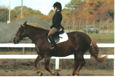 Molly riding