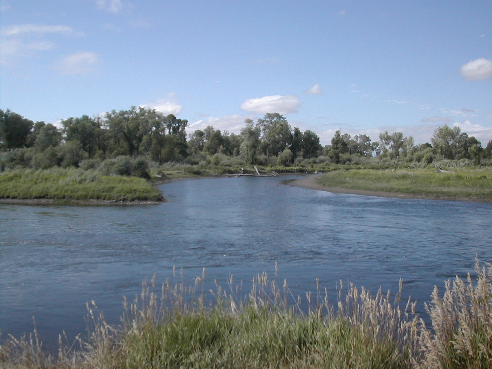 Head waters of the Missouri