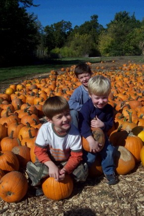 3 little "punkins" Reed, Grant, Dylan