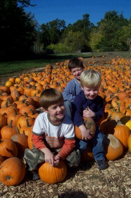 3 little "punkins" Reed, Grant, Dylan