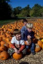 3 little "punkins" Reed, Grant, Dylan