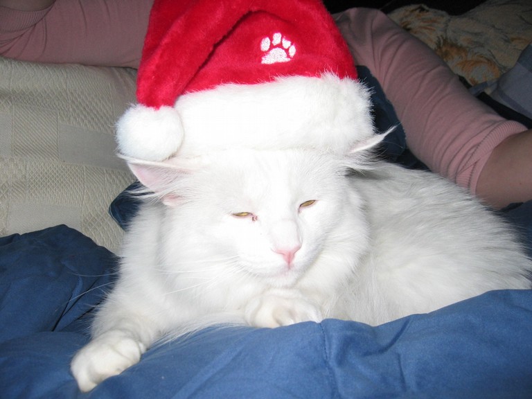 Ho Ho Ho