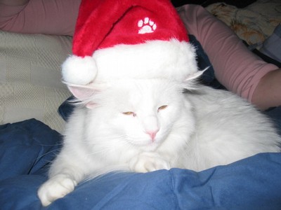 Ho Ho Ho