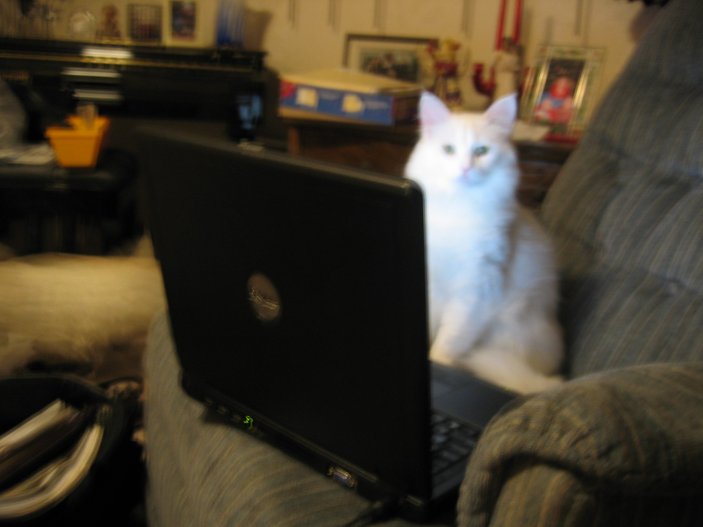 TC plotting to take over the world